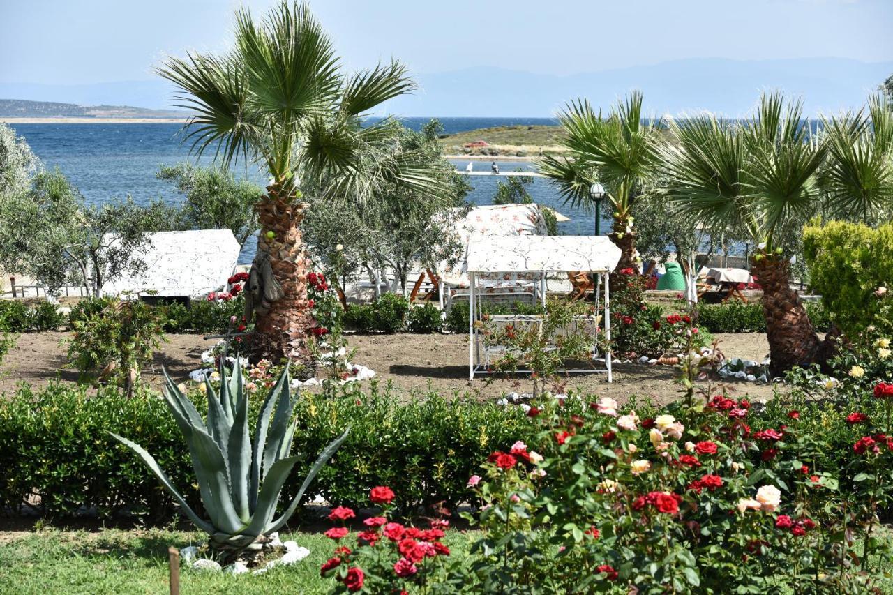 Cunda Asiyan Otel Ayvalı المظهر الخارجي الصورة